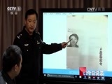今日说法 《今日说法》 20161213 A级通缉令