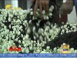 广西新闻 《广西新闻》 20180309