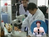 星期天报道 《星期天报道》 20151213