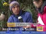 广西新闻 《广西新闻》 20170124