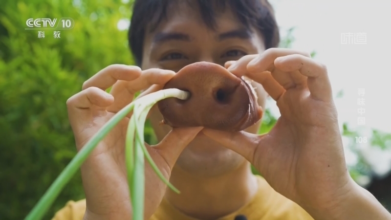 《味道》 20260107 寻味中国（108）