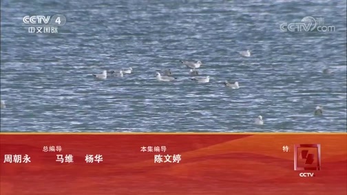 远方的家 《远方的家》 特别节目《大好河山》——三级阶梯看中国（2） 高原上的珍稀野生动物 20181010