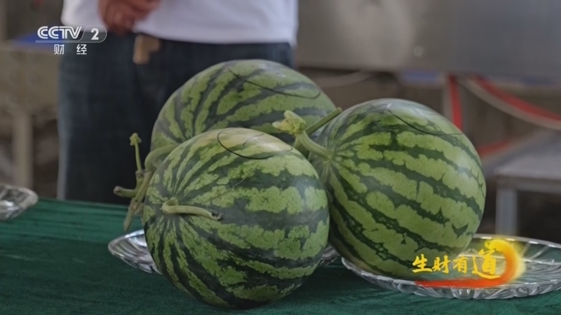 《生财有道》 20260611 甜蜜新农人 西瓜里淘金