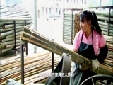 走近科学 《走近科学》 20170817 竹林新语