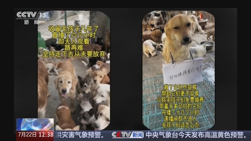 法治在线 《法治在线》 20260722