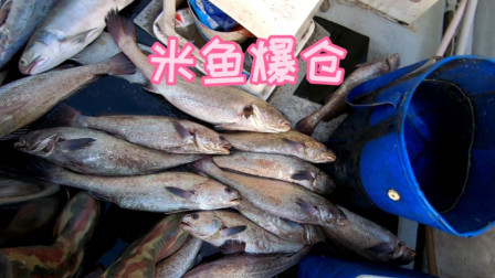 舟山小伙出海一下午狂拉80斤多斤鱼，能卖5000块，又是发财的一天