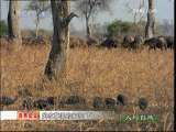 人与自然 人与自然 2009年 第119期