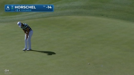 【球员集锦】霍舍尔顺利保帕，霍舍尔一杆上果岭造点