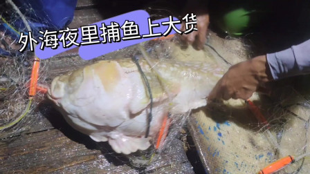 南澳岛赶海日记 休渔前最后的疯狂，彪哥回来没休息就往外海跑，大货值钱货一起来