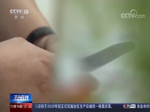 法治在线 《法治在线》 20191114