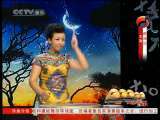 风华国乐 风华国乐 2010年 第207期