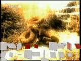 自然传奇 自然刺客之秘密杀手 自然传奇 20110412