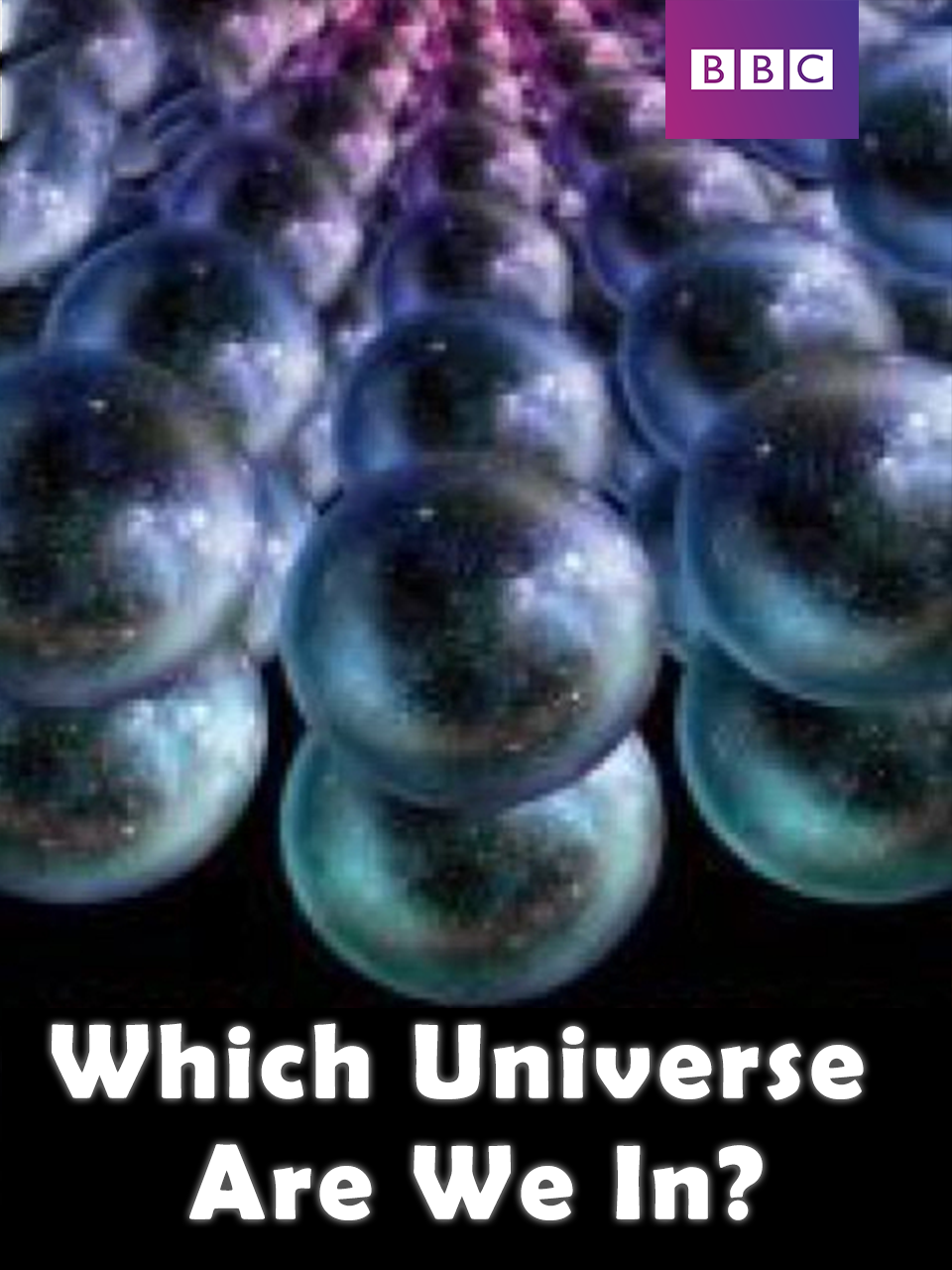 我们身处哪个宇宙？ 海报