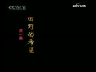 见证 巨变 第1集 田野的希望
