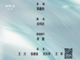 《特别呈现》 20140920 微观战场 第三集 衡阳会战