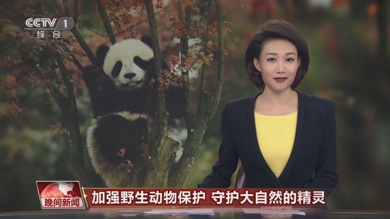 晚间新闻 《晚间新闻》 20230219