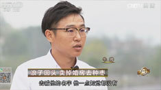 致富经 [致富经]浪子回头 卖掉婚房去种枣 20161229