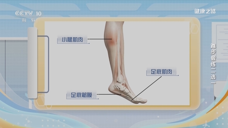 健康之路 《健康之路》 20240305 跑步锻炼二选一