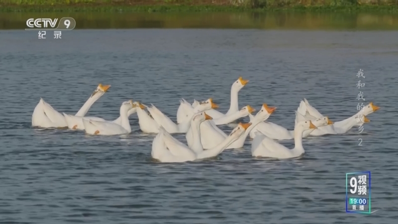 《我和我的故乡》 第2集