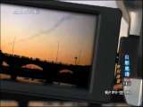 动物世界 第1精品之动物世界 2010年 第1期