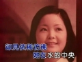 邓丽君经典歌曲集锦 邓丽君精彩演唱《在水一方》