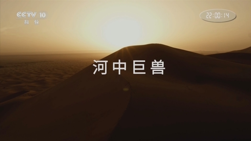 《与恐龙同行》 第2集 河中巨兽