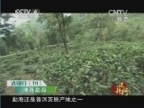 远方的家 《远方的家》 20140713 边疆行（19）——神奇勐海
