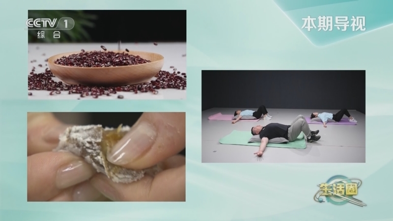 生活圈 《生活圈》 20230627