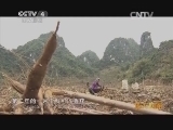 远方的家 百山百川行 第236集 大明山纪行《远方的家》 20140328