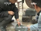 走近科学 《走近科学》 20150519 科学鉴宝——大师教你挑翡翠