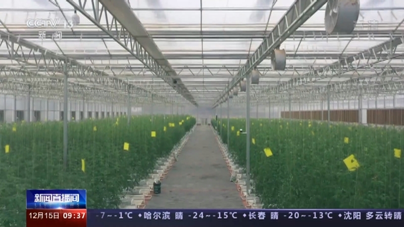 新闻直播间 《新闻直播间》 20221215 09:00