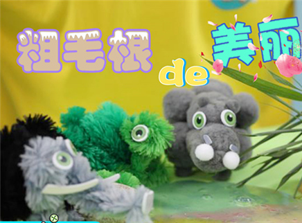 方大手不吃鱼 2017 粗毛根的新世界