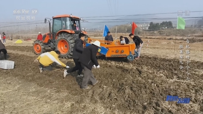 我爱发明 《我爱发明》 20221117 荸荠出淤泥