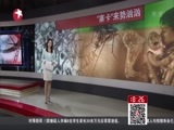 东方新闻 《东方新闻》 20160130