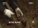 致富经 《致富经》 20160226 拨开迷雾 掘出财富