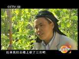 法治视界 法治视界 2011年 第45期 挽救迷途母亲
