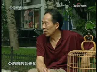 芝麻开门【央视】 安能辨我是雄雌