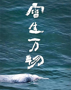 雷生万物 海报