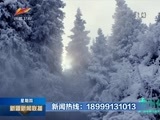 新疆新闻联播 《新疆新闻联播》 20180208
