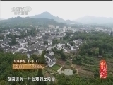 记住乡愁第一季 《记住乡愁 第一季》 20150105 第五集 诸葛村——宁静致远