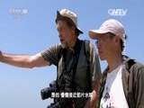 走近科学 《走近科学》 20160526 寻找神话之鸟（四）
