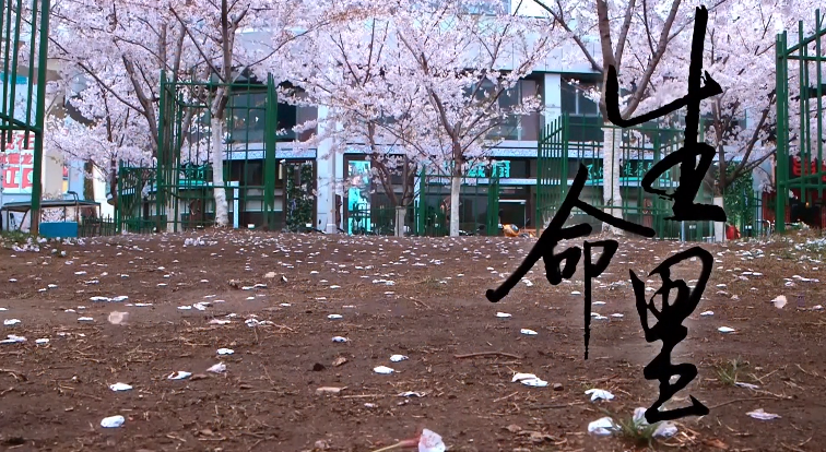 生命里 陪伴