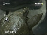 有多远走多远 《有多远走多远》 20170209 湖南系列 第三集 湘潭古怪小年饭