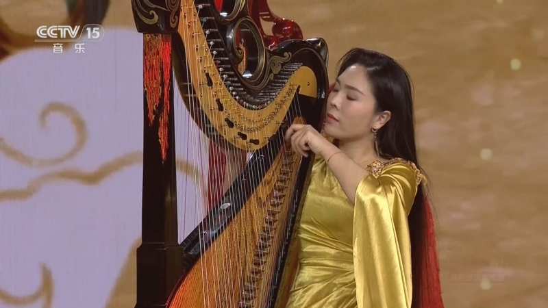 风华国乐 《风华国乐》 20250528