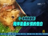 中国电影报道 《中国电影报道》 20170303