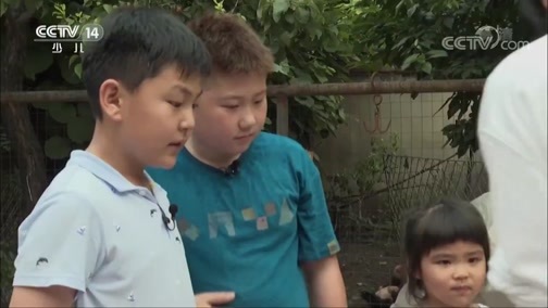 芝麻开门【央视】 《芝麻开门》 20180903 三个小伙伴 生存挑战