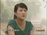 生财有道 《生财有道》 20130524 美女与凶獒