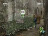 文化十分 《文化十分》 20160915
