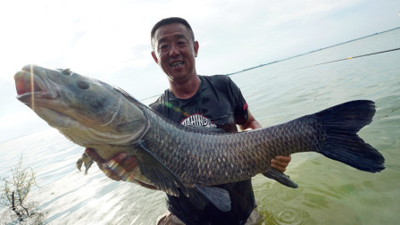 游钓中国 第三季 第20集 二进升金湖潜寻底物 酣畅连竿却遇突发状况