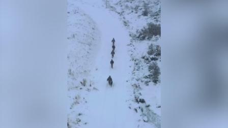 @所有人 军犬踏雪巡逻拥抱界碑